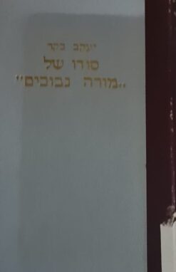 סודו של מורה נבוכים / יעקב בקר