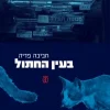 בעין החתול / חביבה פדיה