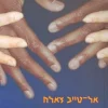 עונת הנדידה אל הצפון - מהדורת 2004 / אל-טייב צאלח