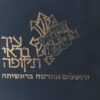 עיר בראי תקופה - ירושלים החדשה בראשיתה