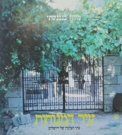 עיר המנוחות : בתי העלמין של ירושלים