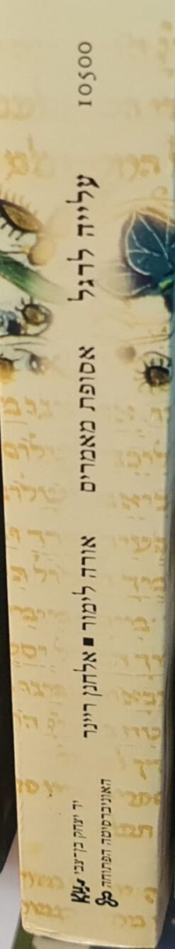 עלייה לרגל