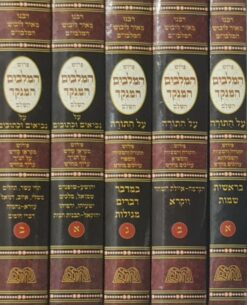 פרוש המלבי"ם המנקד השלם על התורה נביאים וכתובים 5 כרכים / המלבי"ם