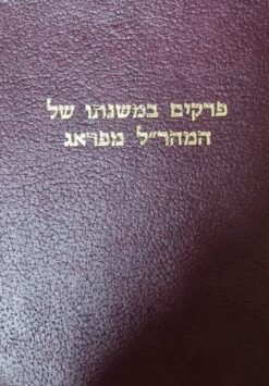 פרקים במשנתו של המהר"ל מפראג