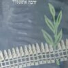 לנצח נבנו