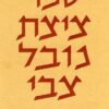 ספר ציצת נובל צבי - לרבי יעקב ששפורטש / ישעיה תשבי