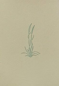 צמחי בר בארץ ישראל / נעמי פינברון-דותן רות קופל