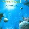 קבלה באור בהיר - דרך החוויה אל תורת הנסתר / יגאל אריכא