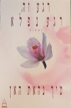 רגע זה, רגע נפלא / טיך נהאת האן