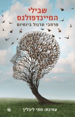 שבילי המיינדפולנס - מרחבי תרגול ביומיום / מתי ליבליך