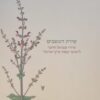 שירת העשבים
