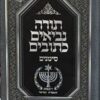 תנ"ך סימנים בינוני